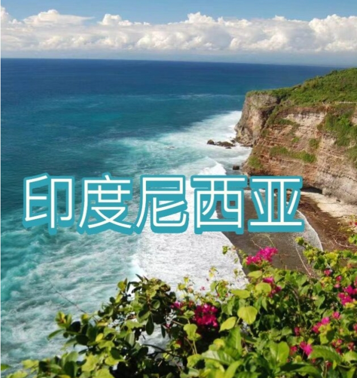 国国际电商(印尼)产业博览会冰球突破游戏网站2025中(图2) 国国际电商(印尼)产业博览会冰球突破游戏网站2025中(图2)